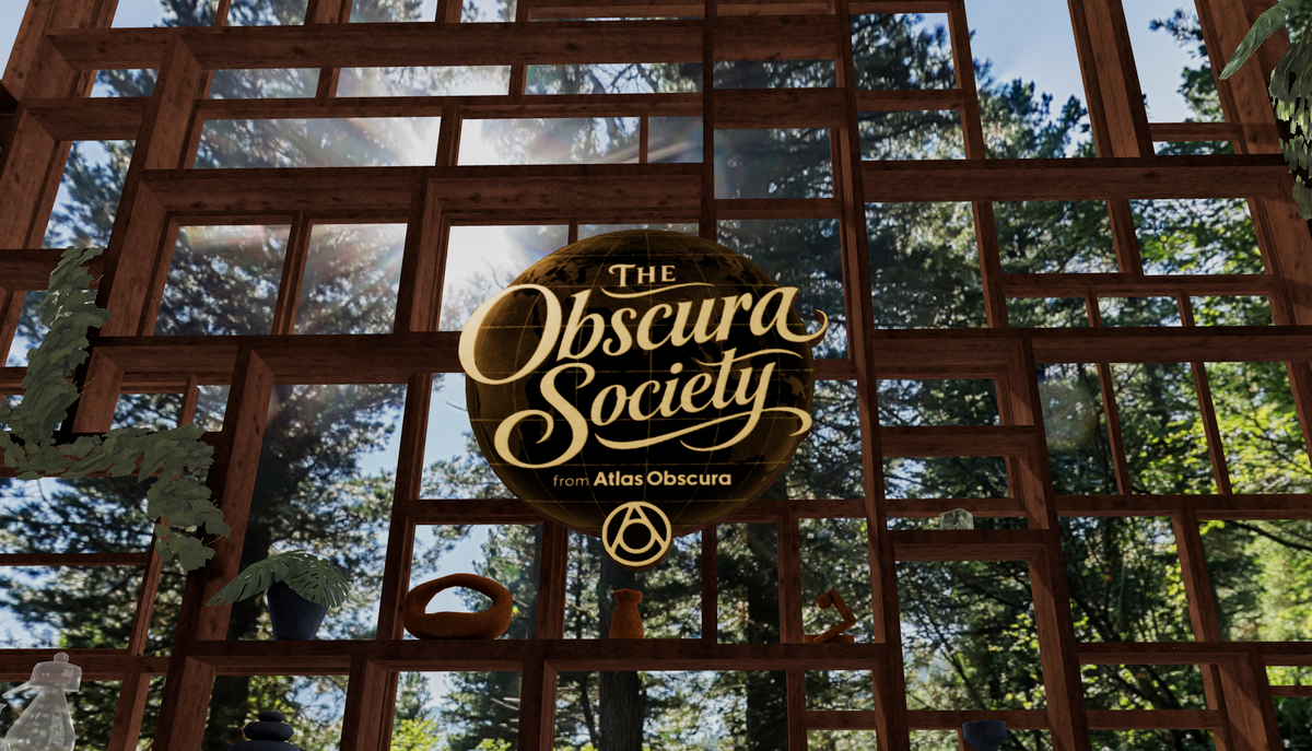 Welcome to The Obscura Society