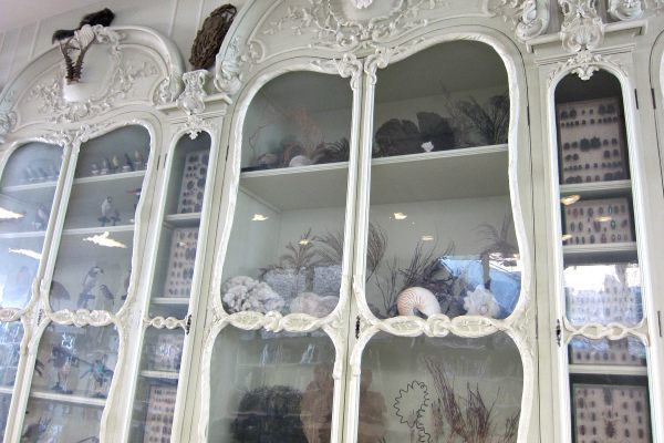 Le Cabinet de Curiosités de Joseph Bonnier de La Mosson