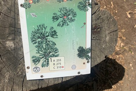Hole 1 