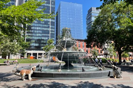 Berczy Park Dog Fountain