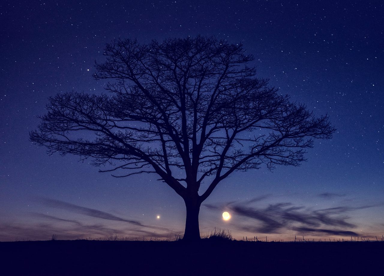 A solitary tree flanked by Venus and Mars on the left, the Moon on the right.