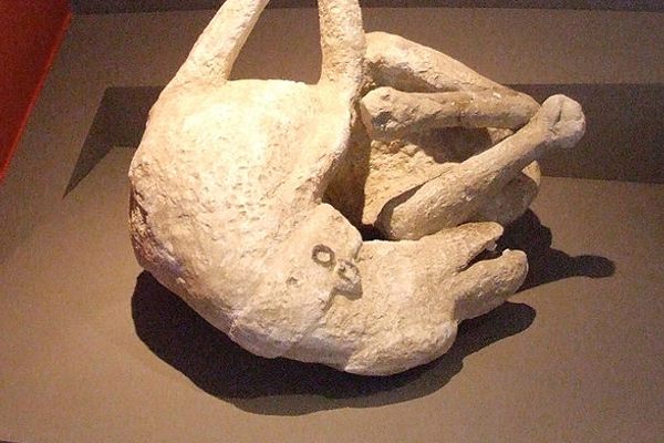 penisuri în pompeii exercițiu penis pentru bărbați
