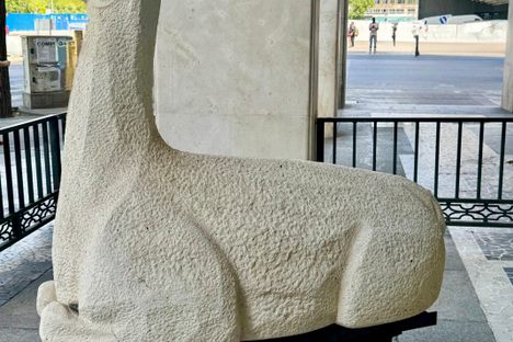 LLama del Perú