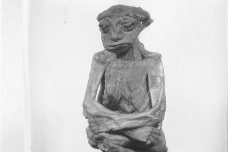 The Mysterious Pedro Mountain Mummy