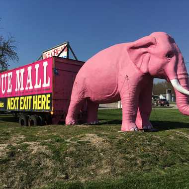 Sign for location. Can be seen from Interstate 55.