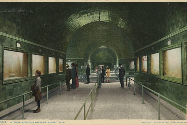 A postcard from the inside of the aquarium, dating to 1907 or 1908.