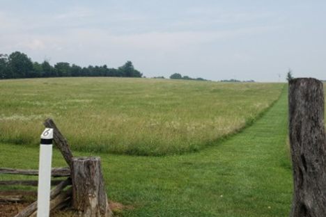 The Field of Lost Shoes
