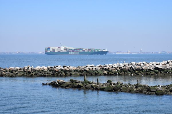 Swinburne Island.