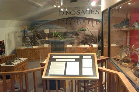 A dinosaur exhibit. 