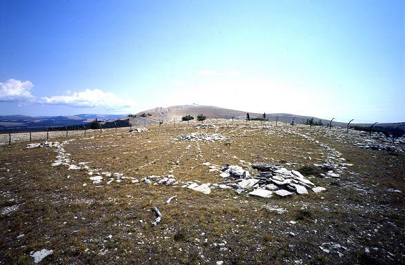 www.atlasobscura.com