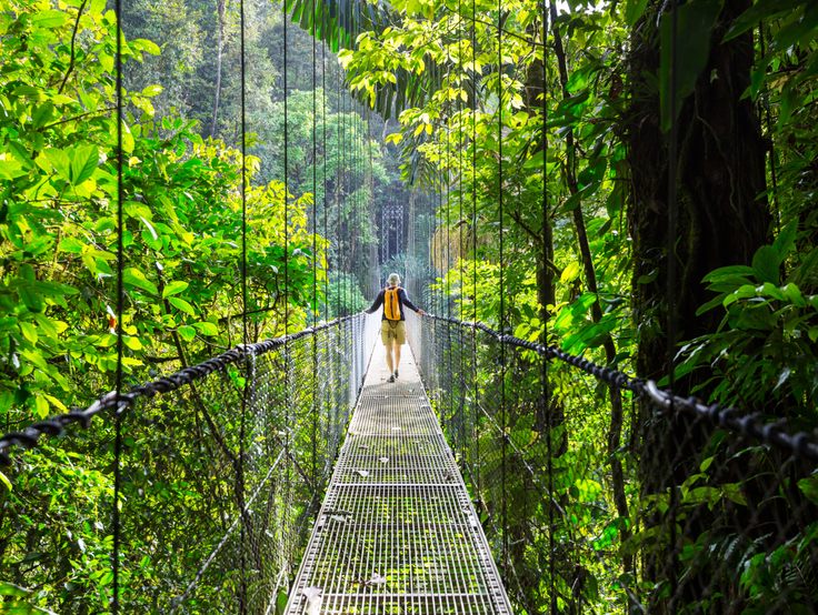 Suspension bridge in El Tigre, Monteverde