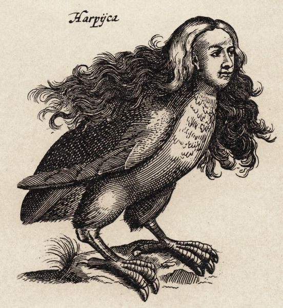 A harpy in Ulisse Aldrovandi's Monstrorum Historia, Bologna, 1642