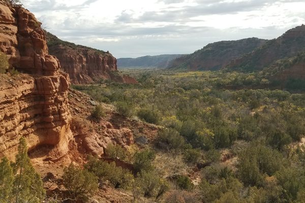 This landscape in this park is truly striking.