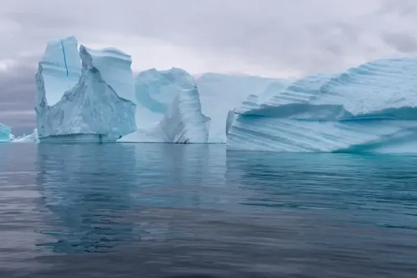 Watch for whales and other wildlife as you pass through a seascape of towering icebergs.