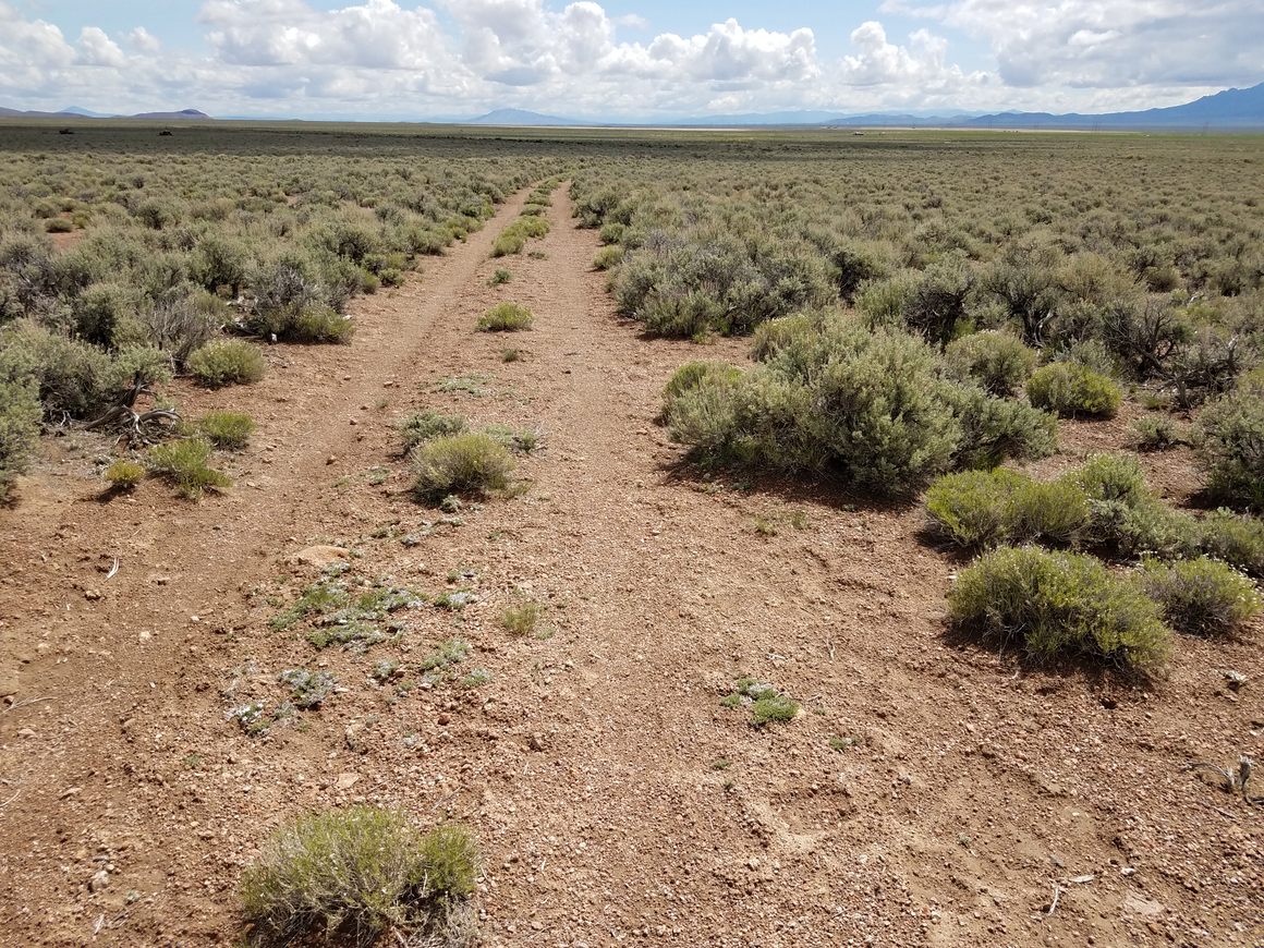 Looking east along the Pony Express route.  The doubletrack is a result of usage by wheeled vehicles over the last 150+ years.