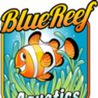 Profile image for Blue Reef Aquatics 5