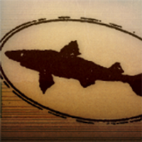 Profile image for dogfishhead