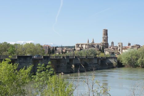 Celebrate Swarm Season with Photos of Mayflies Swarming a Medieval Bridge