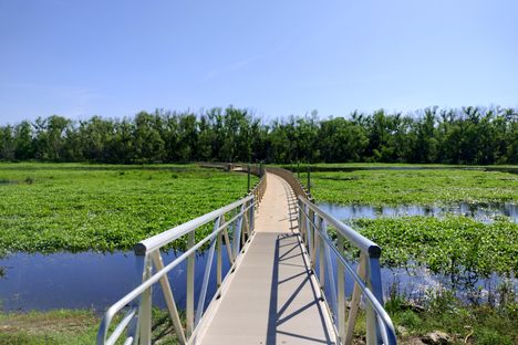 The north boardwalk trailhead 