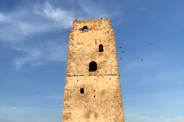 Tower with birds flying around it.