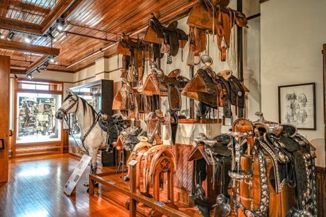 Saddles on display.