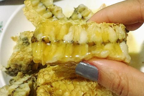 Grilled Bee Honeycomb With Larvae