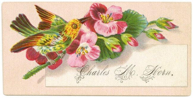Calling cards were often lushly decorated and printed with the name of the individual.