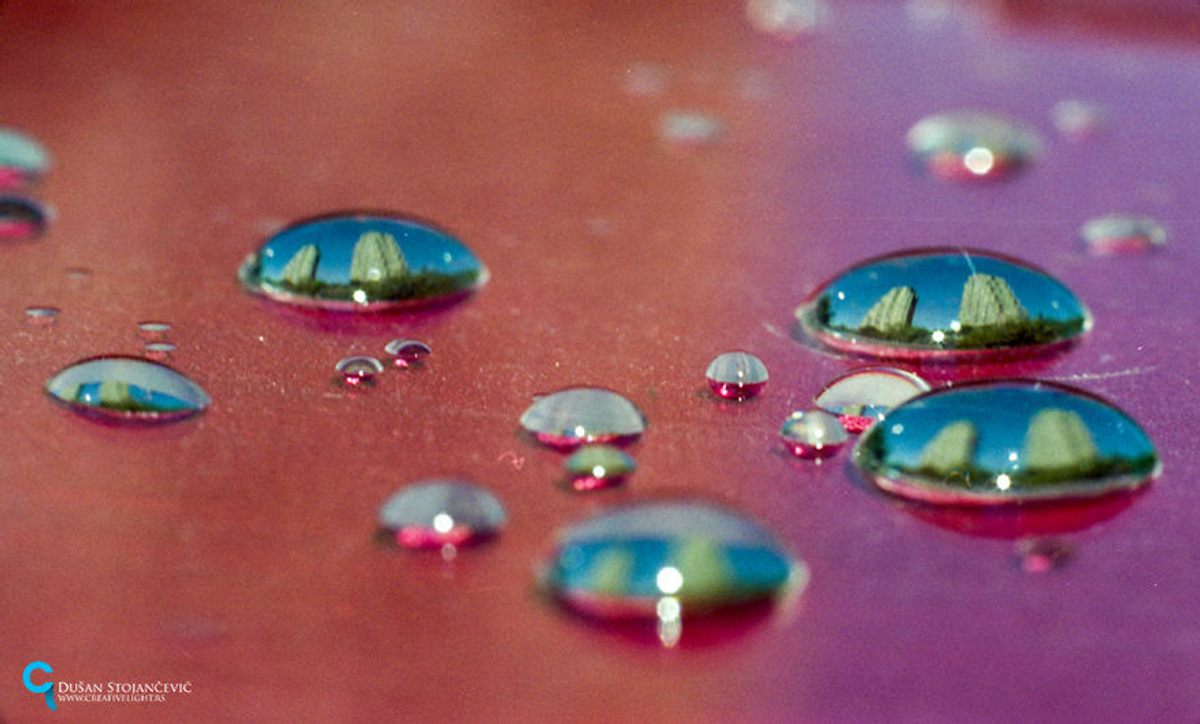 Photographer Captures Worlds in a Drop of Water