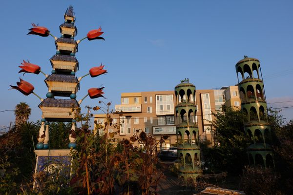 Big Daddy’s Complete Rejuvenating Community Garden.