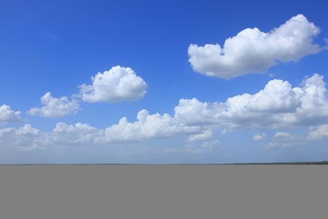 Paynes Prairie Preserve State Park