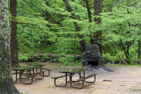 Picnic area