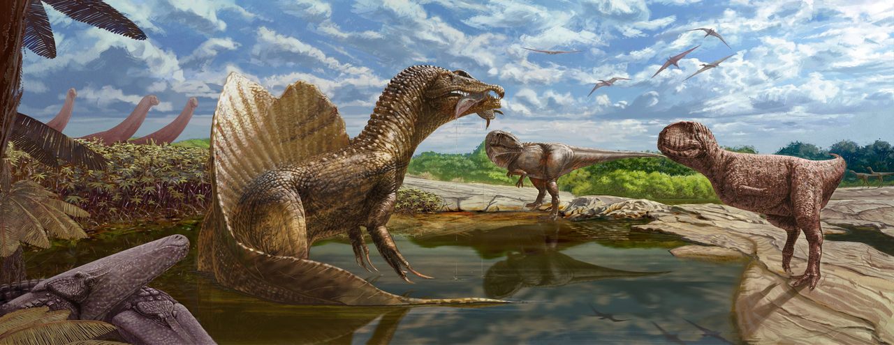 Nearly 100 million years ago, what is now the Bahariya Oasis in Egypt's Western Desert was a warm, wet ecosystem dominated by large predators such as the aquatic dinosaur <em>Spinosaurus</em> and <em>Carcharodontosaurus</em>.