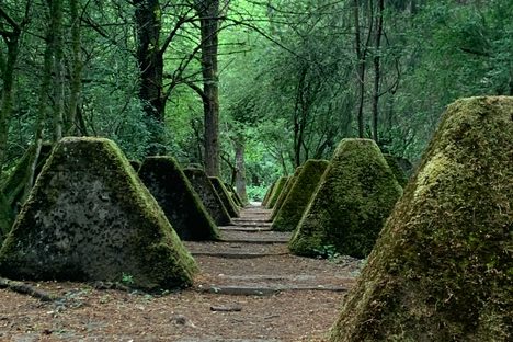 Höckerlinie Westwall