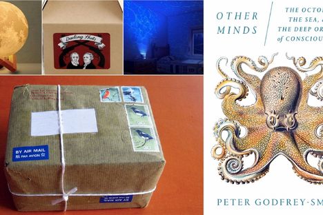 Moons, octopuses, mysteries, waves, and shots that delighted the Atlas Obscura staff.