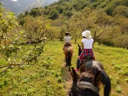 Riding on horseback through wild apple groves outside Almaty.