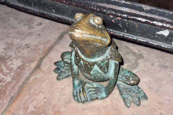 Kermit the Frog