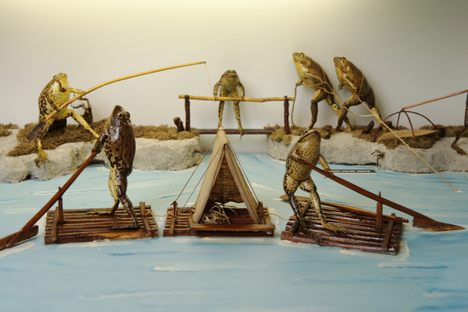 Taxidermied frogs spend a day on the lake at Froggyland.