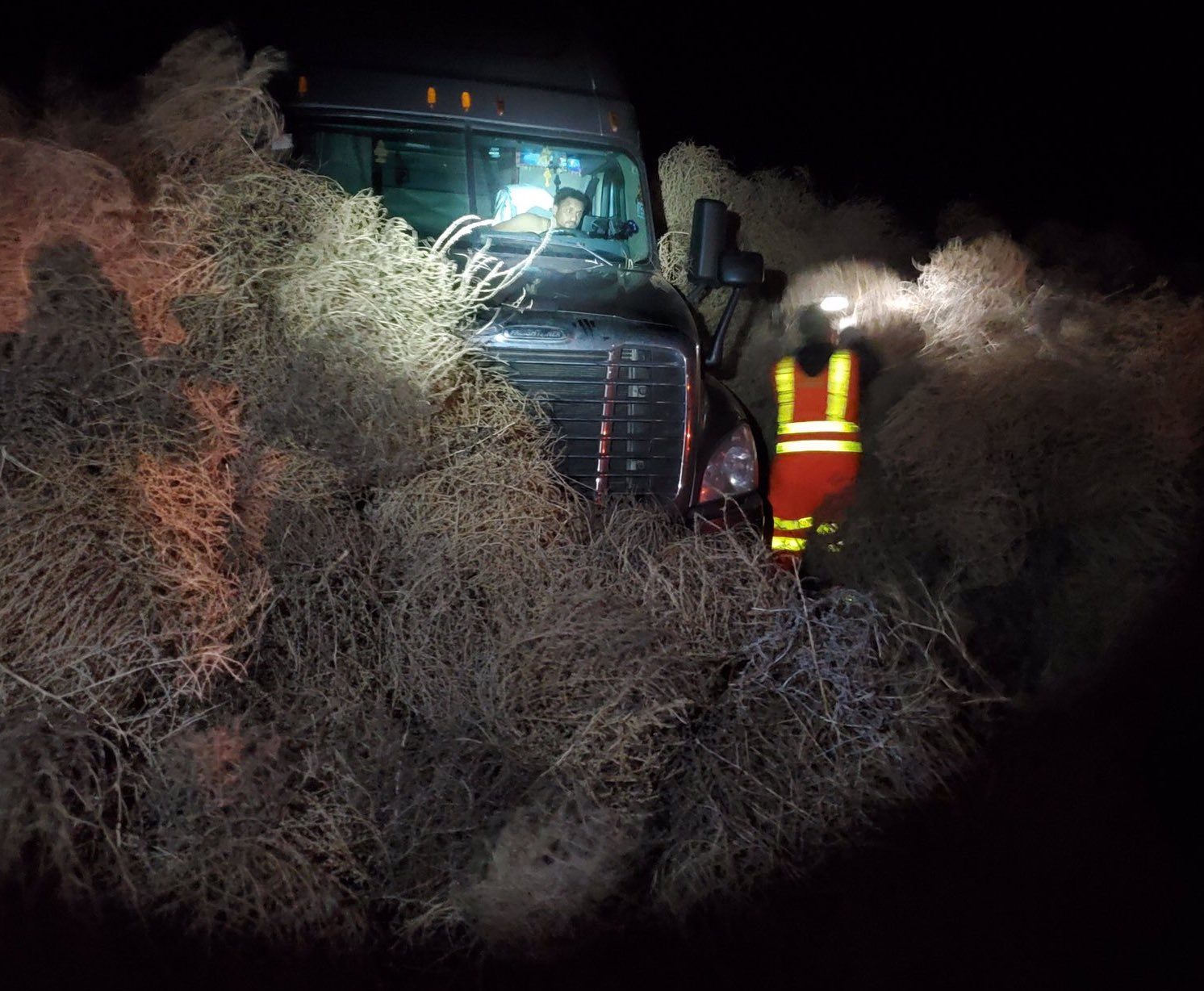 A Blizzard of Tumbleweeds Caused a 10-Hour Traffic Jam in Washington State  - Atlas Obscura