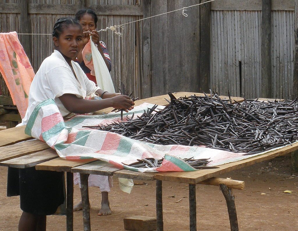 How Did Madagascar Become the World's Biggest Producer of Vanilla? - Gastro  Obscura