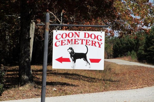 The cemetery's entrance sign pays homage to the creatures buried there.