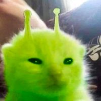 Profile image for Beanns