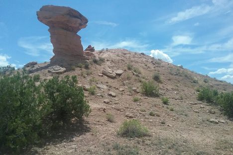 Closeup view from pathway.