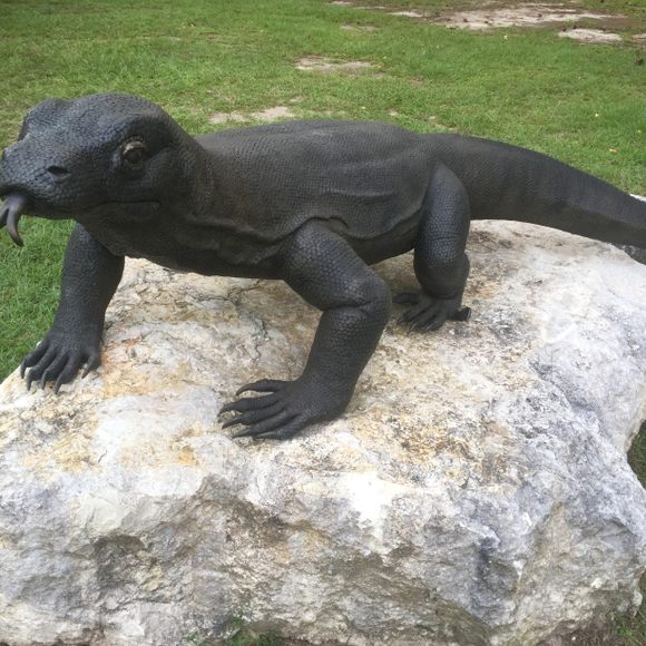 Concrete Lizard -  Canada