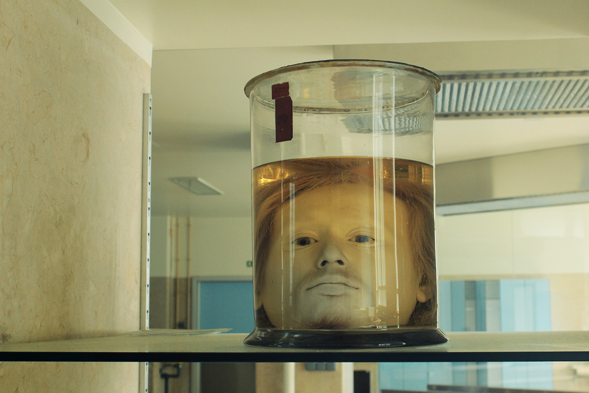 See an Alarmingly Well-Preserved Human Head in a Jar at This Portuguese  University - Atlas Obscura