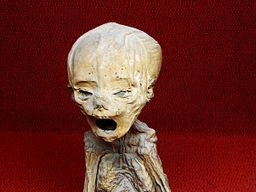 The World’s Smallest Mummy