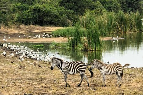 Nairobi National Park