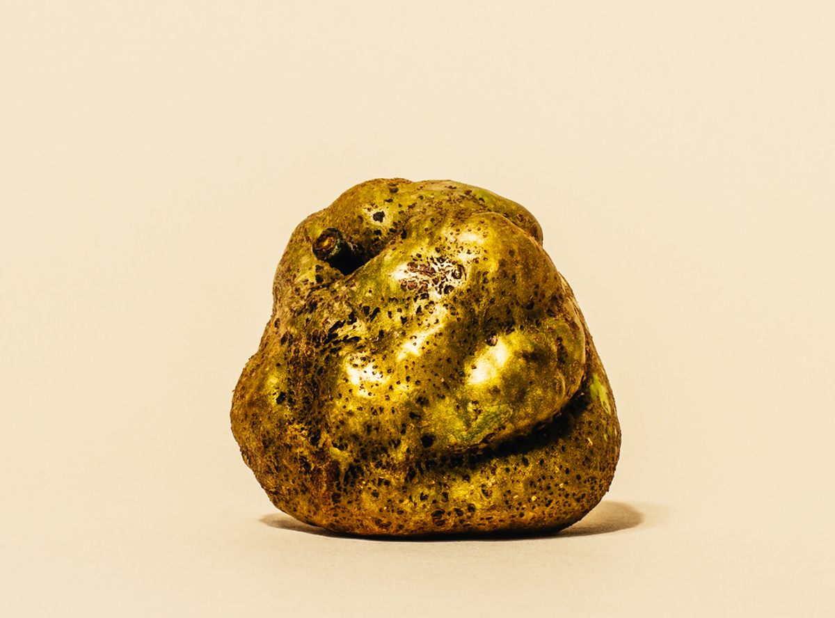 The Knobbed Russet has a rough exterior, with creamy insides.