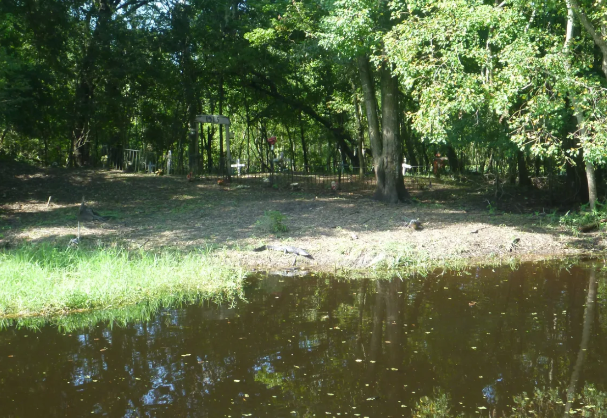 The old graveyard is slowly being reclaimed by the swamp.