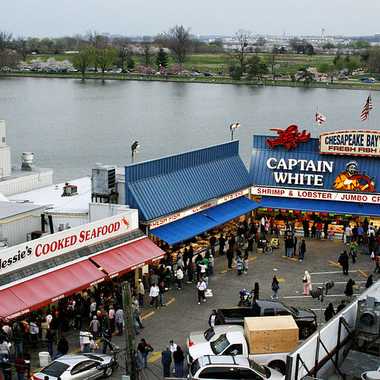 The market from above