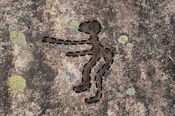 The meme petroglyph outlined.